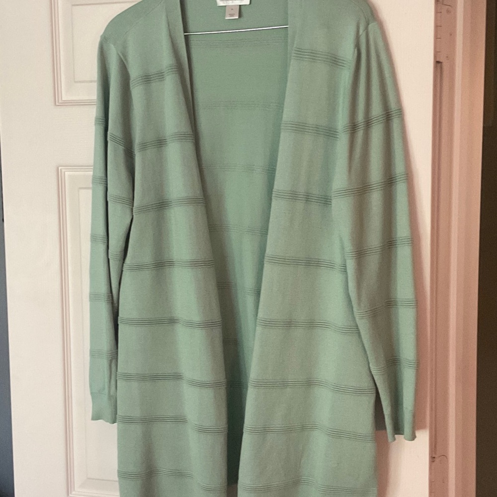 Christopher & Banks Light Green Striped Cardigan